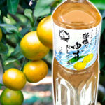 大徳藻塩のゆずドレッシング