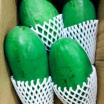 青パパイヤ