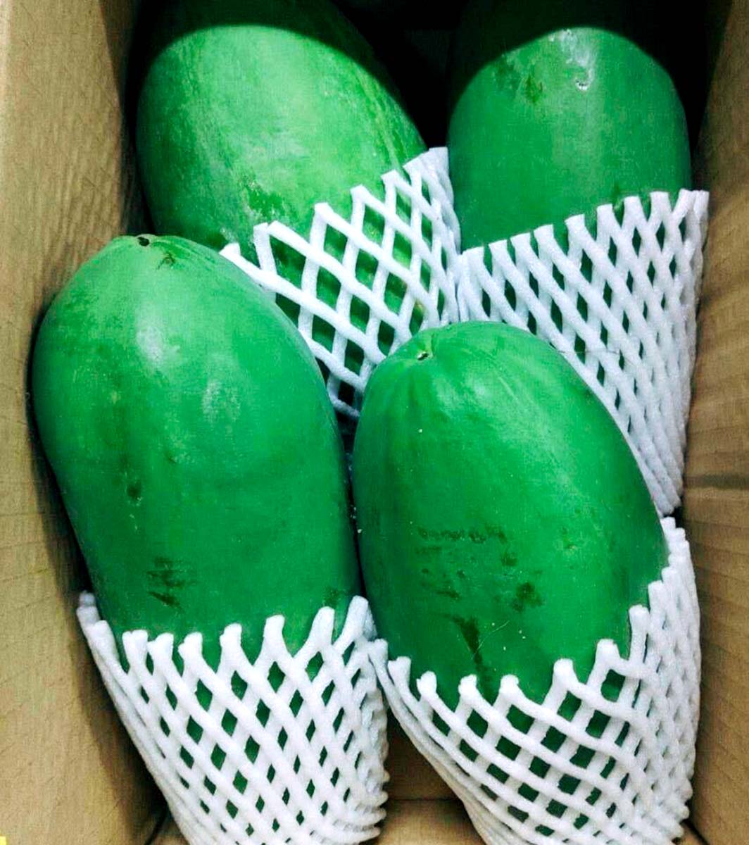 商品紹介 - 南国の野菜・青パパイヤ - 株式会社橋本商店 - 流れる川の
